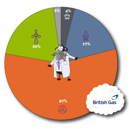 British Gas Fuel Mix 2024