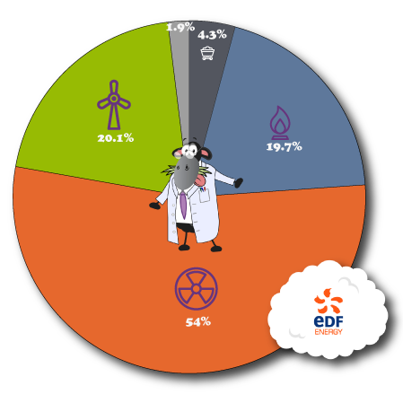 EDF Energy Fuel Mix 2024