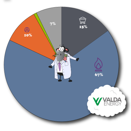 Valda Energy Fuel Mix 2024